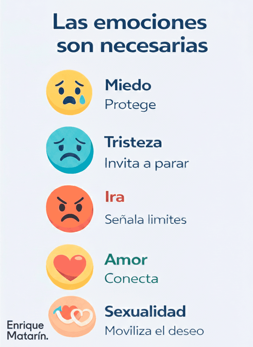 Infografía en la que se enumeran cinco emociones -miedo, tristeza, ira, amor y sexualidad-, cada una con un icono y una breve descripción de su función.